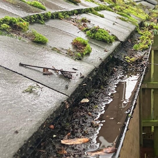 storm damage